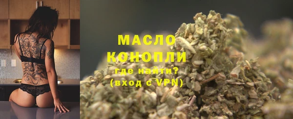 ешки Горняк