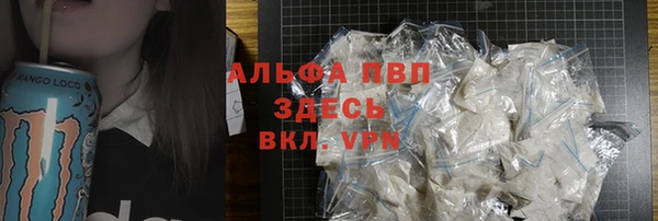 ешки Горняк