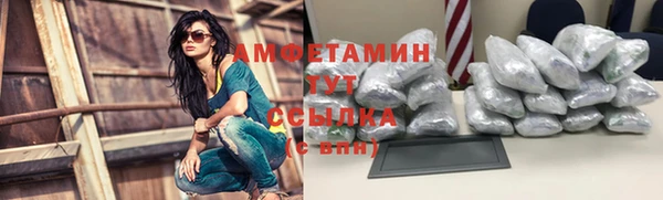 ешки Горняк
