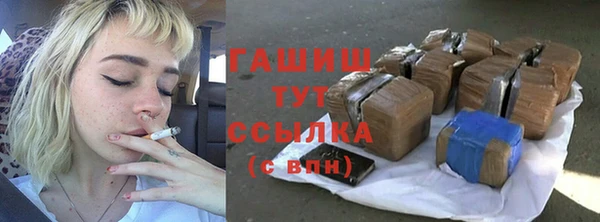 прущие грибы Волоколамск