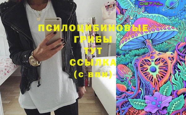 ешки Горняк