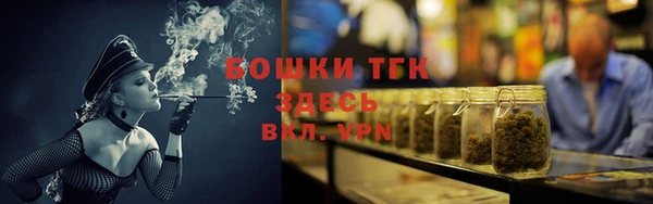 ешки Горняк