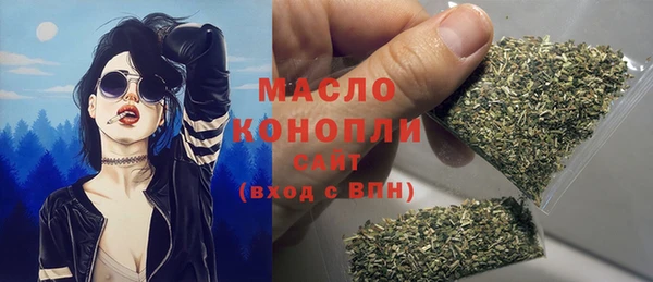 ешки Горняк