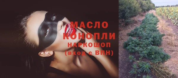 ешки Горняк