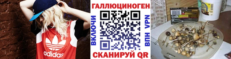 Галлюциногенные грибы Psilocybe Инза